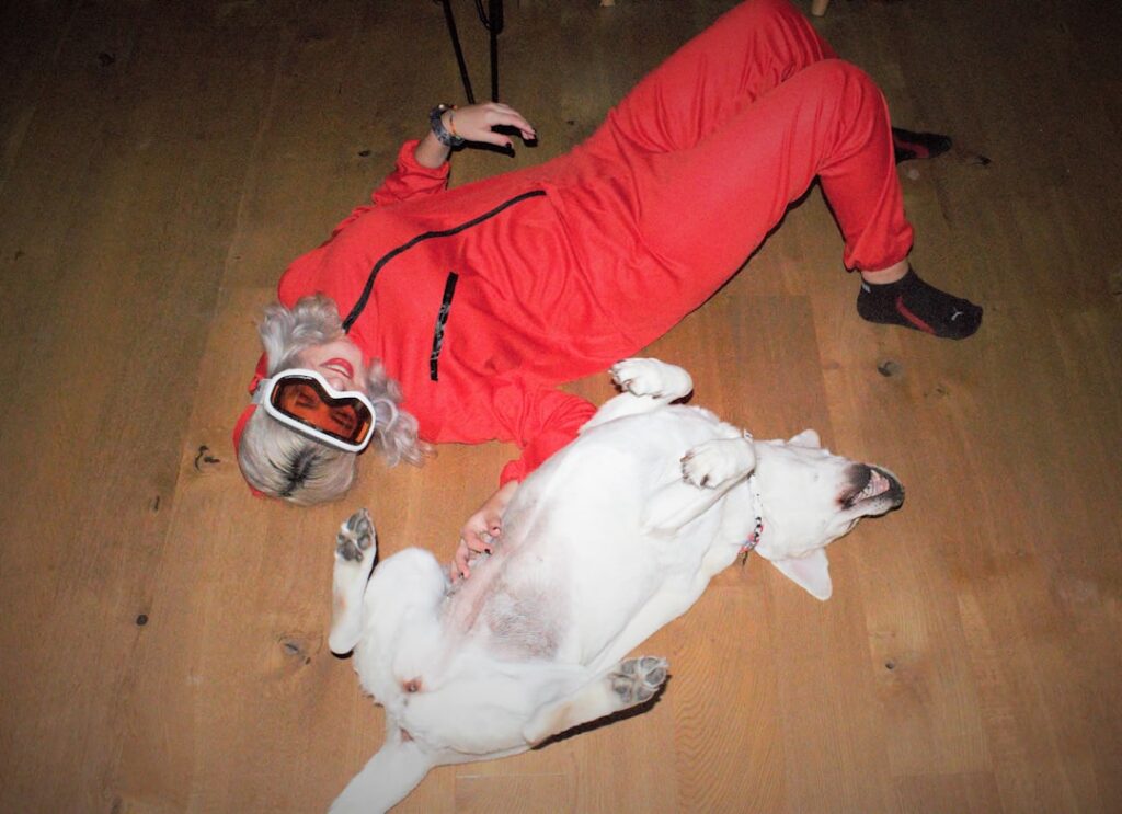 Photo Dont Lets Go to the Dogs Tonight