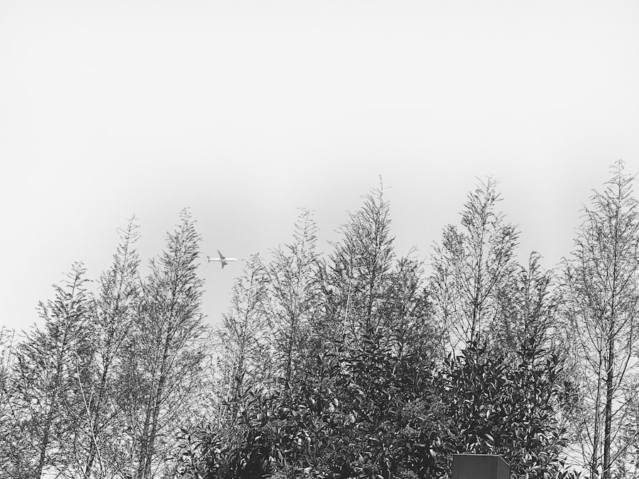 Photo Pema Chödrön