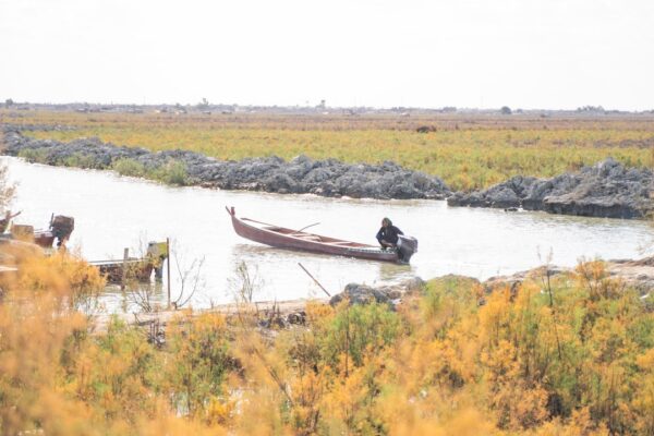 Photo Marsh Arabs