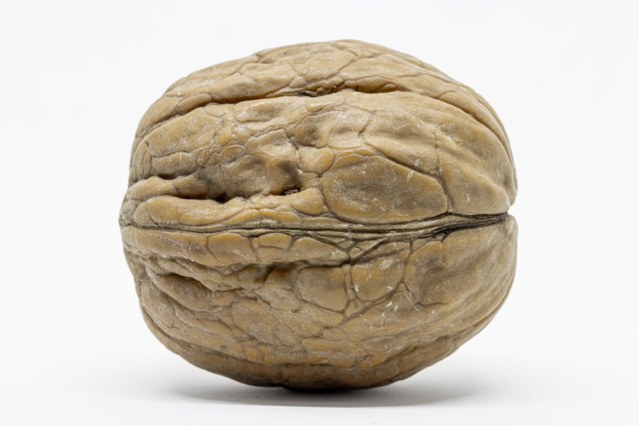 Brain on Food