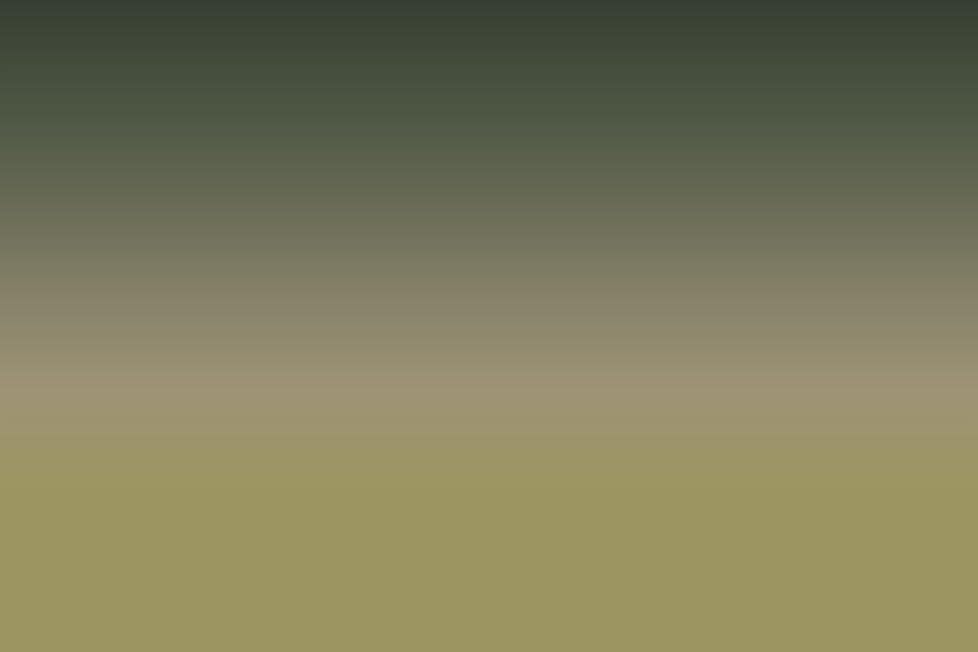 African Silences