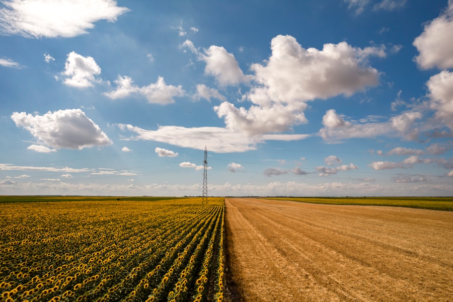 Digital Transformation Agriculture