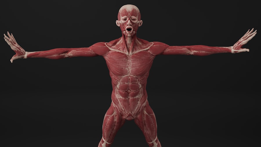Anatomy of the Spirit