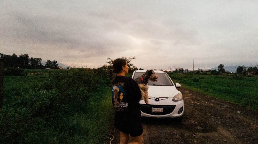 Travels with Charley