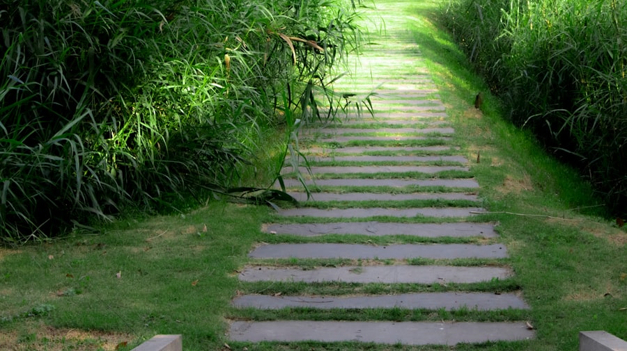 Simple Path to Wealth