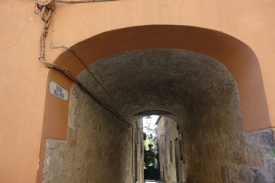 Random Walk Down Wall Street