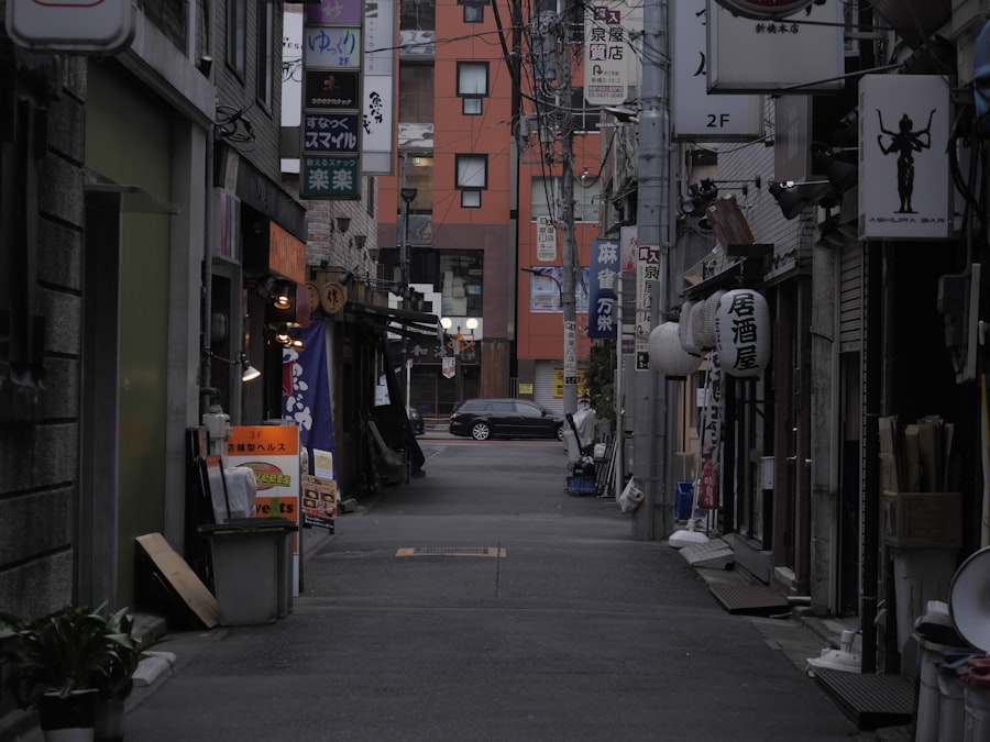 Lonely Planet Japan