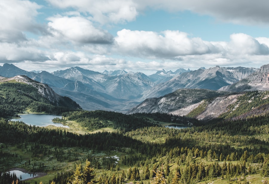 Wilderness