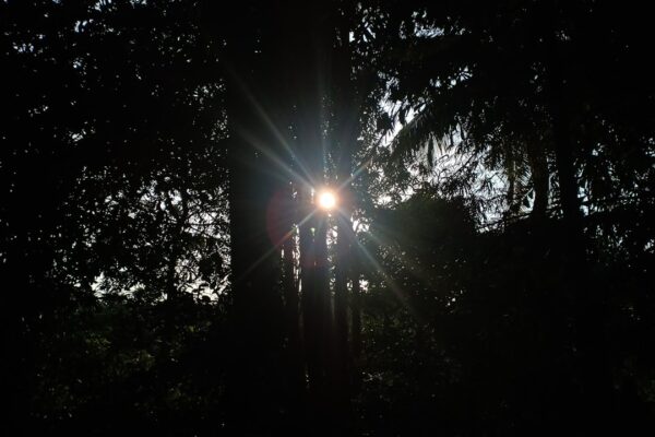 Photo Bright Hour Nina Riggs