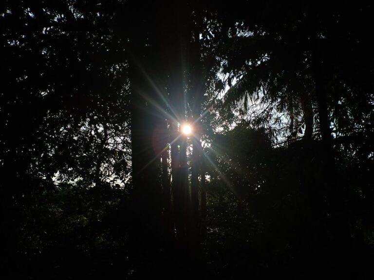Photo Bright Hour Nina Riggs