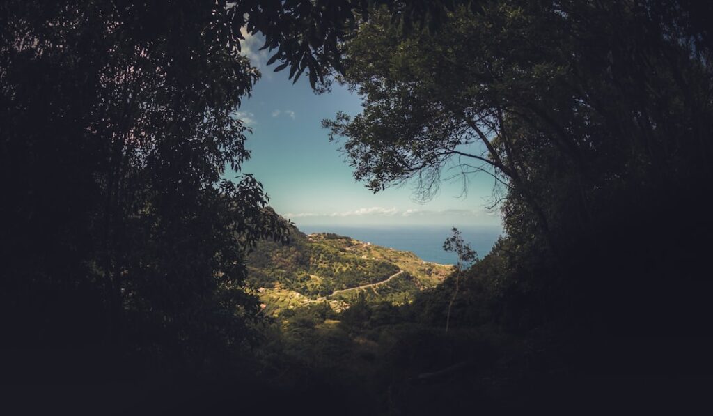 Photo Wilderness