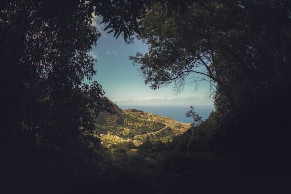 Photo Wilderness