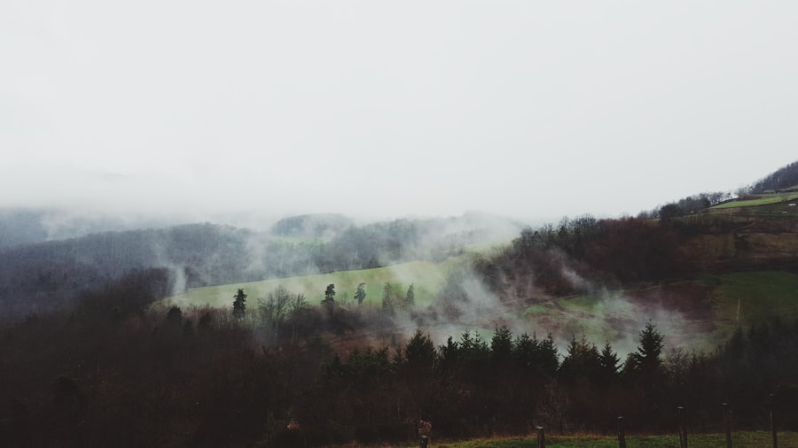 Photo Wilderness