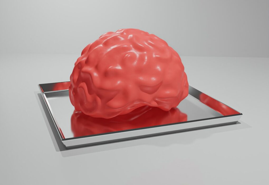 Photo Brain on Food