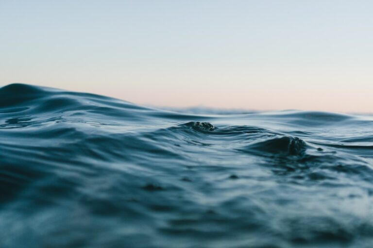 Photo Wave