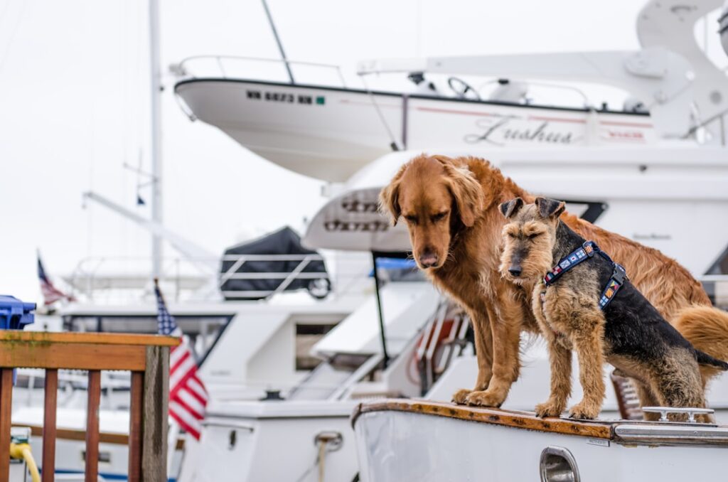 Photo Voyage of the Beagle