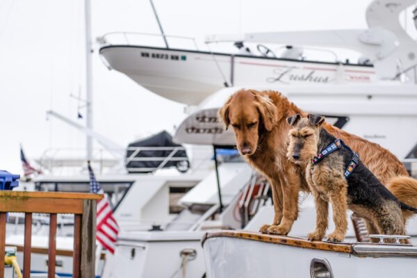Photo Voyage of the Beagle