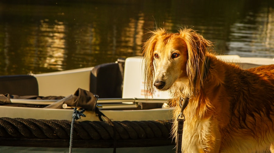 Photo Voyage of the Beagle