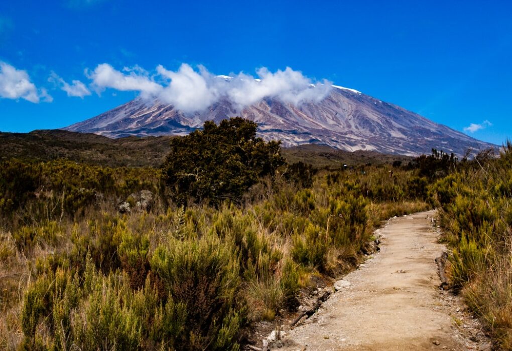 Photo Kilimanjaro