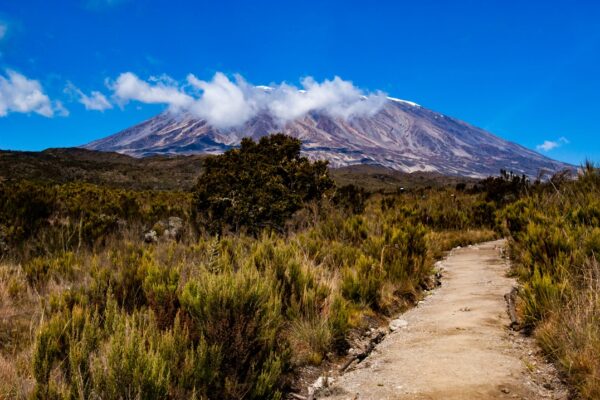 Photo Kilimanjaro