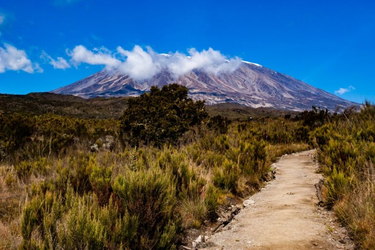 Photo Kilimanjaro