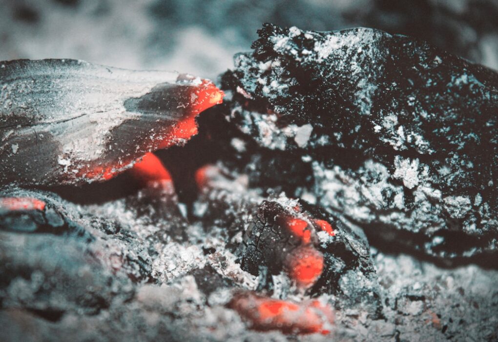 Photo Ashes
