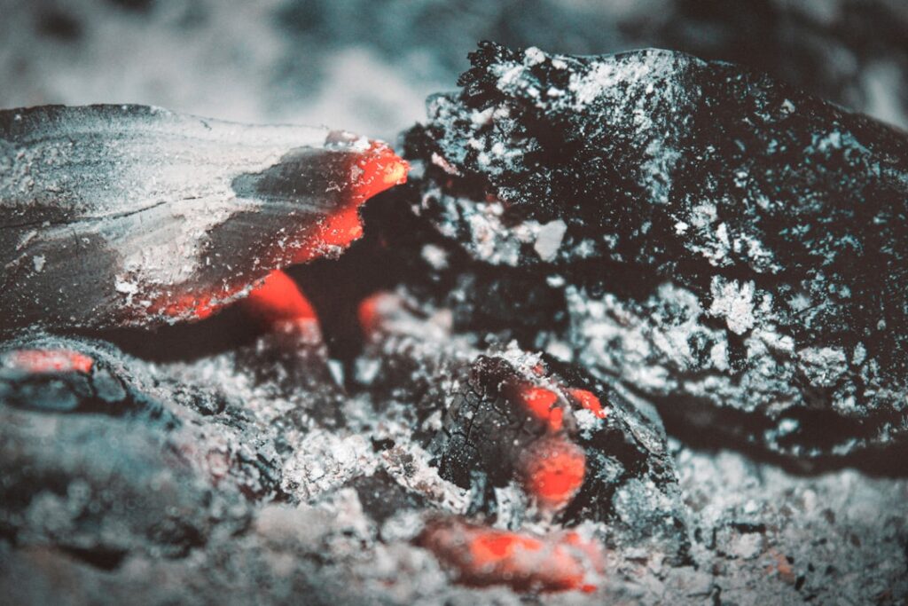 Photo Ashes