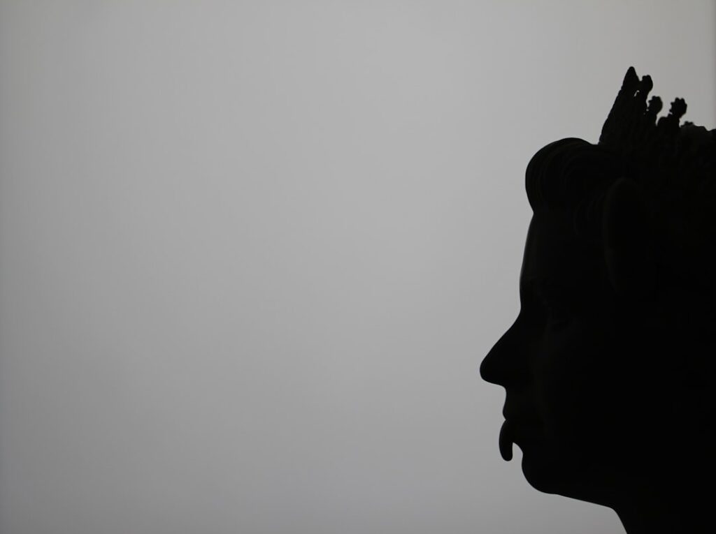Photo African Silences