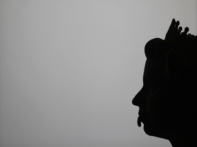 Photo African Silences