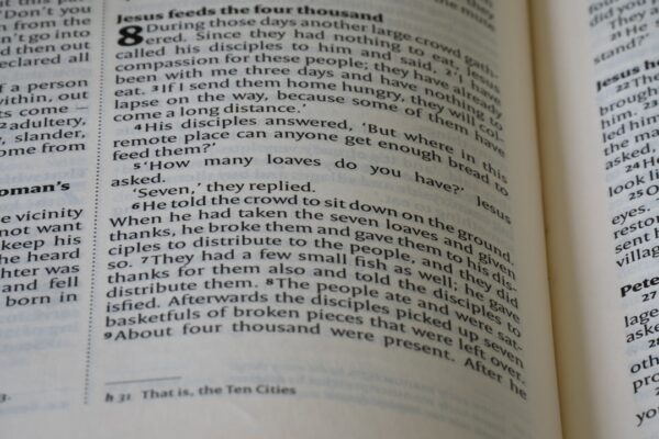 Photo Autobiography of Alice B Toklas