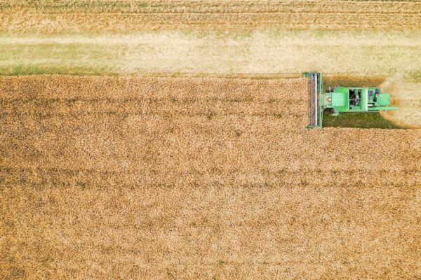 Photo Digital Transformation Agriculture