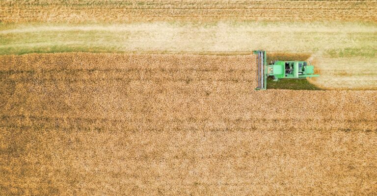 Photo Digital Transformation Agriculture