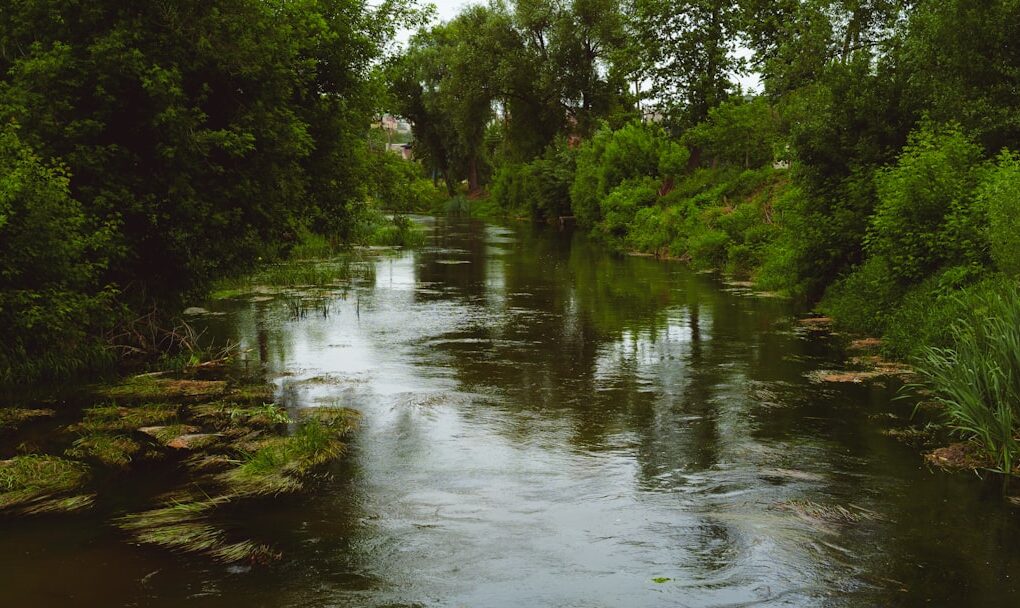 Photo River Why
