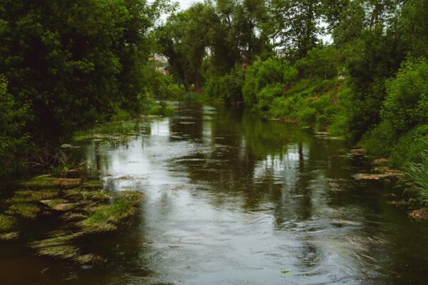 Photo River Why