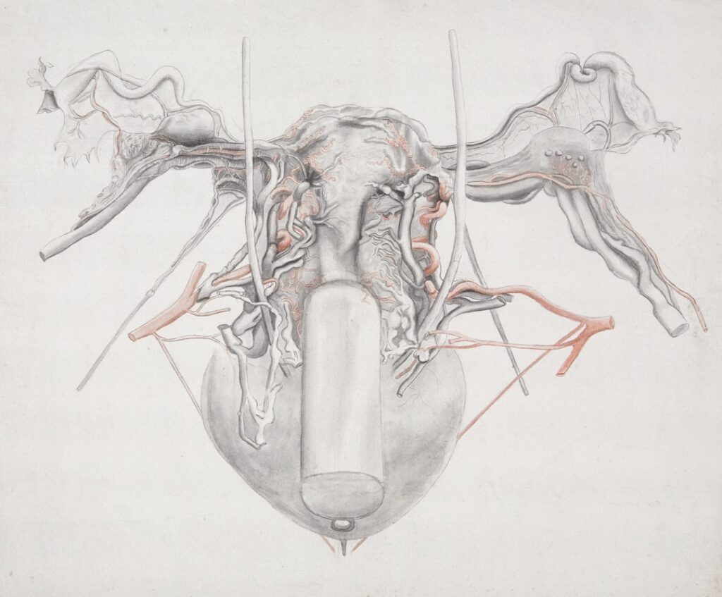 Photo Anatomy of the Spirit