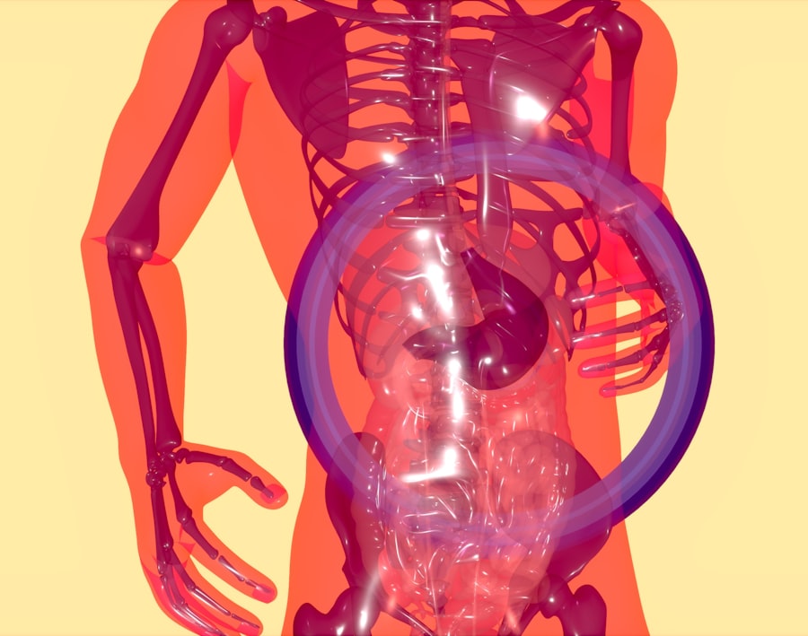 Photo Anatomy of the Spirit