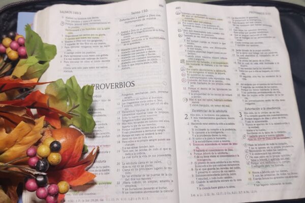 Photo Inner Child Workbook