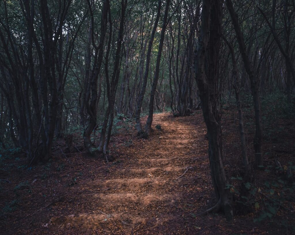 Photo Simple Path to Wealth
