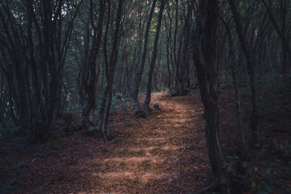 Photo Simple Path to Wealth