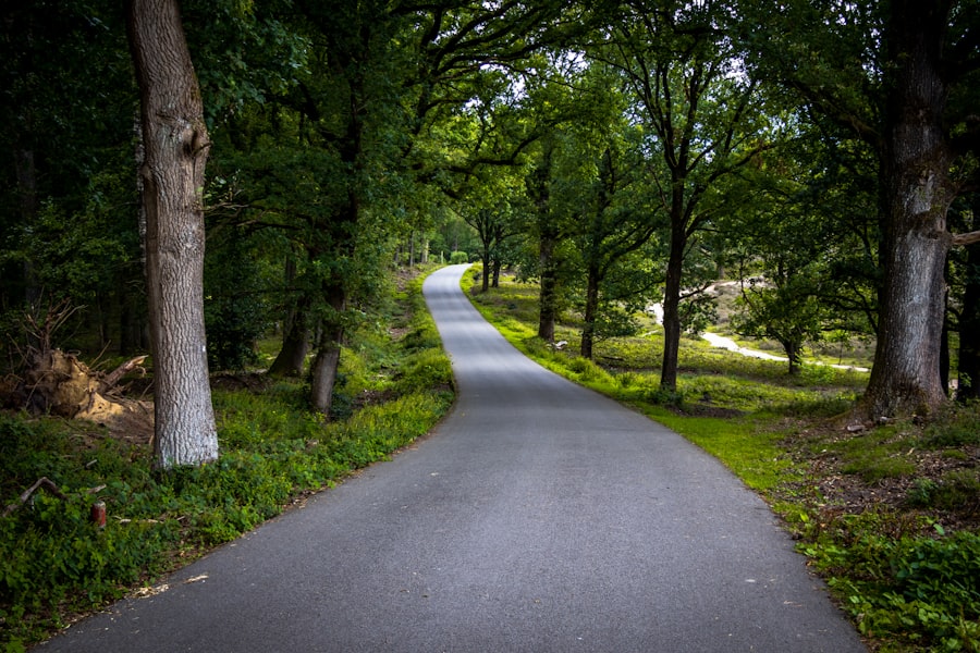 Photo Simple Path to Wealth