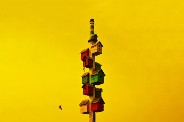 Photo Innovation Stack