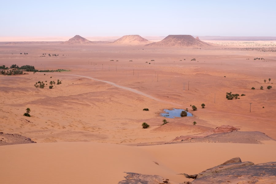 Sahara Natural History
