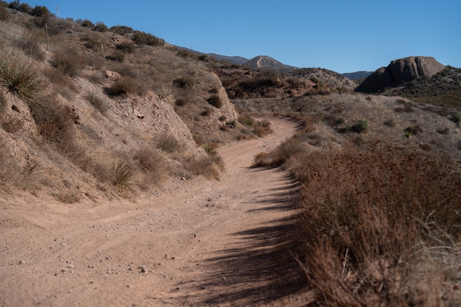 Gringo Trail