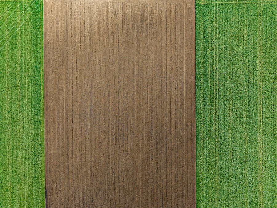 Split the Difference