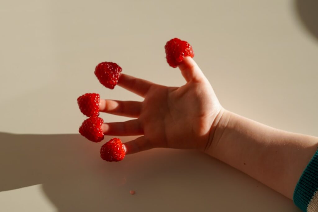 Photo Heart Berries