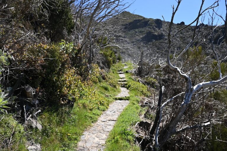 Photo Gringo Trail