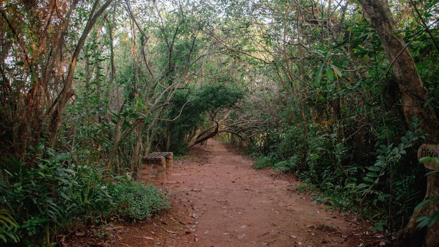Photo Gringo Trail