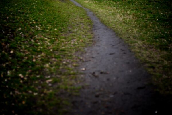 Photo Faraway Nearby