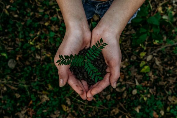 Photo Earth