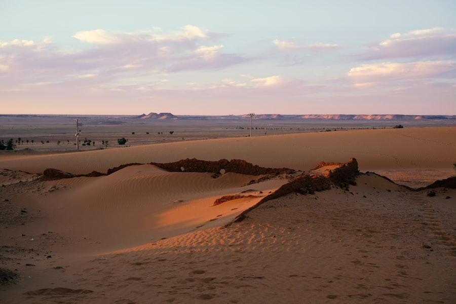 Photo Sahara Natural History